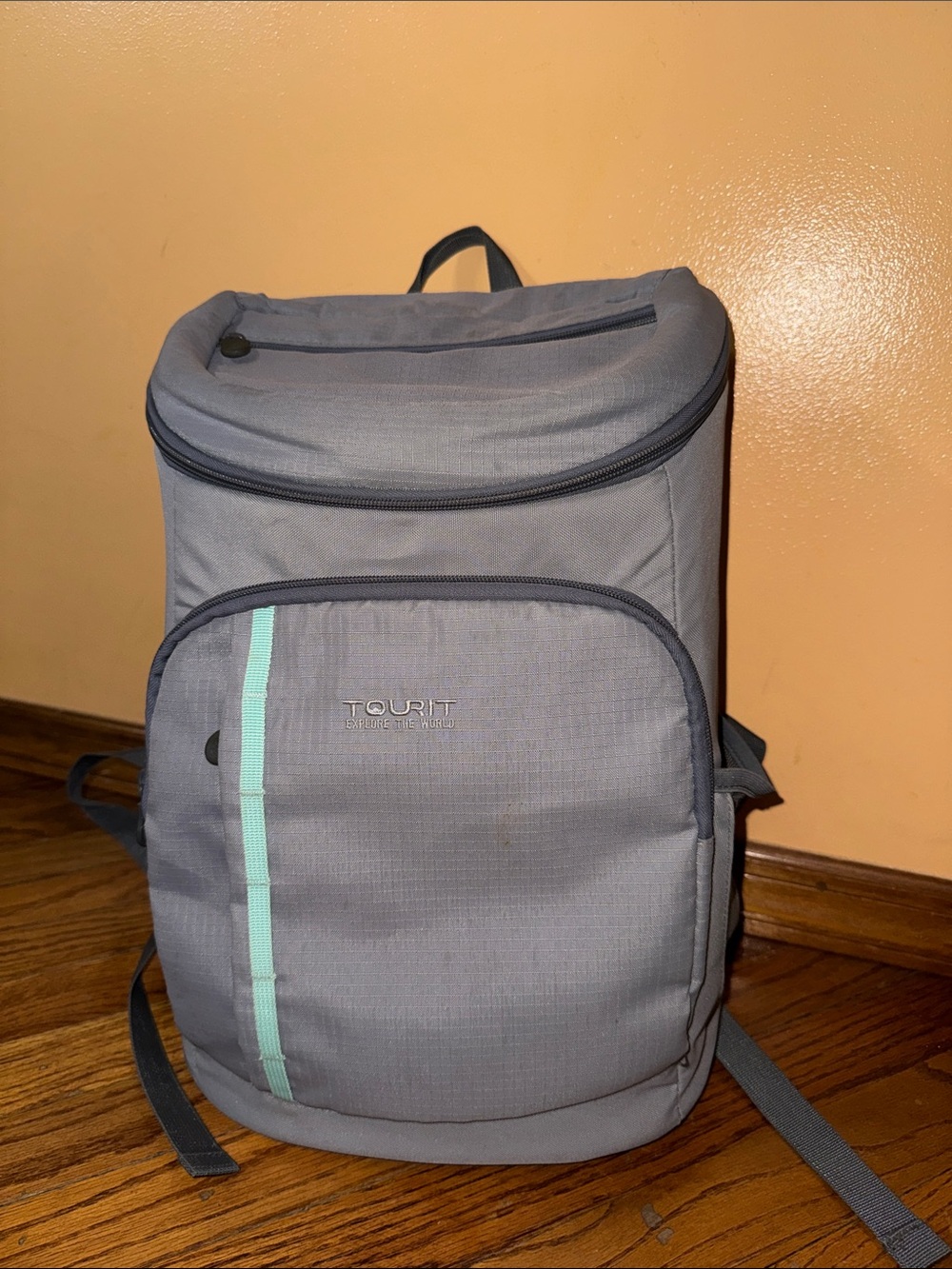 Gray Cooler Backpack with Mint Accent